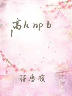 高h np bl