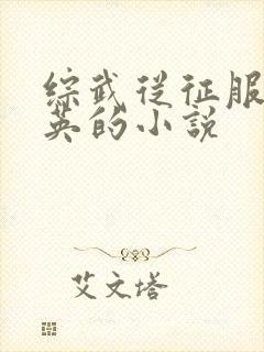 综武从征服林朝英的小说