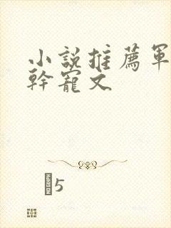 小说推荐军婚高干宠文