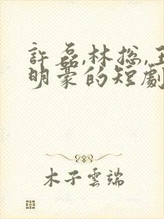 许磊,林总,王明豪的短剧