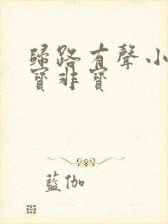 归路有声小说墨宝非宝