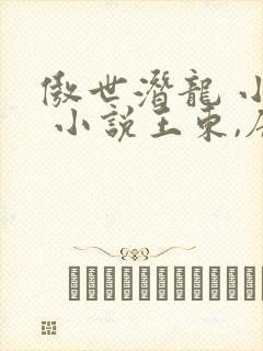 傲世潜龙 小说 小说王东,唐潇