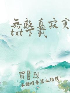 无敌真寂寞新丰txt下载
