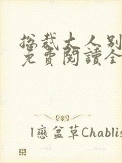 总裁大人别太坏免费阅读全文
