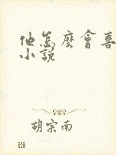 他怎么会喜欢我小说