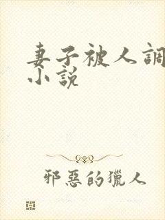妻子被人调教h小说