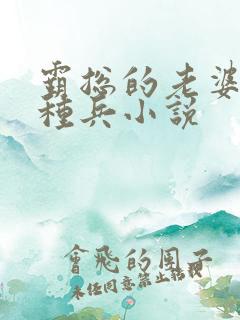 霸总的老婆是特种兵小说