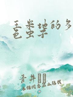 玉米地的多足黑色虫子