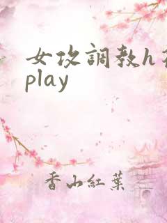 女攻调教h花式play