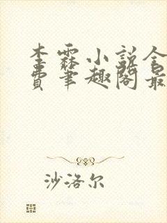 李霖小说全文免费笔趣阁最新