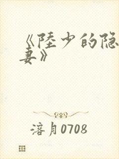 《陆少的隐婚罪妻》