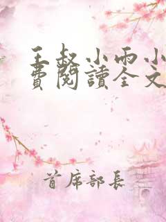 王叔小雨小说免费阅读全文