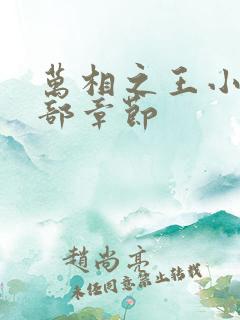 万相之王小说全部章节