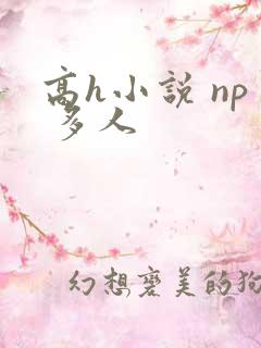 高h小说 np 多人