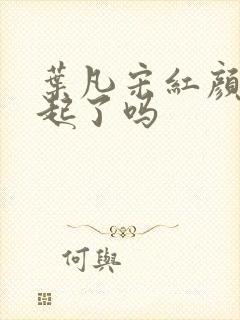 叶凡宋红颜在一起了吗