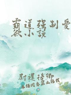 霸道强制爱占有欲小说