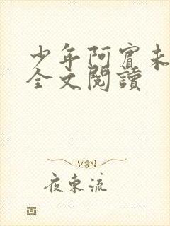 少年阿宾未删减全文阅读
