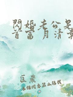闪婚老公是隐藏首富 月清棠