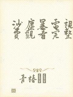沙尘暴电视剧免费观看完整版星辰影院