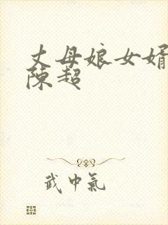 丈母娘女婿小说陈超