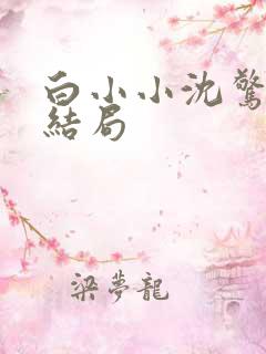 白小小沈惊觉大结局