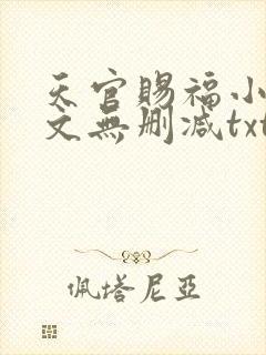 天官赐福小说全文无删减txt下载