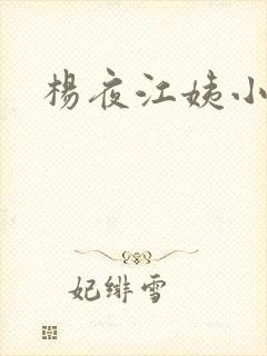 杨夜江姨小说