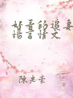好看的追妻火葬场言情文