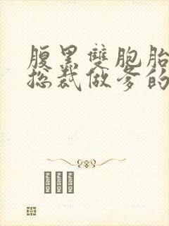 腹黑双胞胎抢个总裁做爹的全文免费阅读