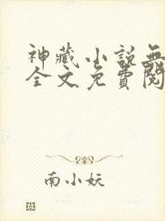 神藏小说无弹窗全文免费阅读