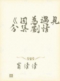 《因为遇见你》分集剧情