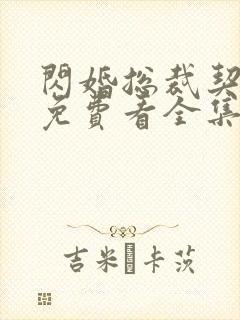 闪婚总裁契约妻免费看全集