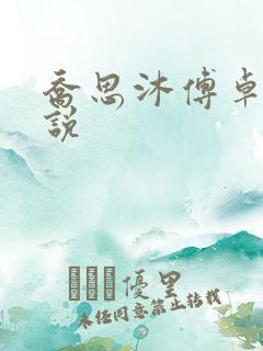 乔思沐傅卓宸小说