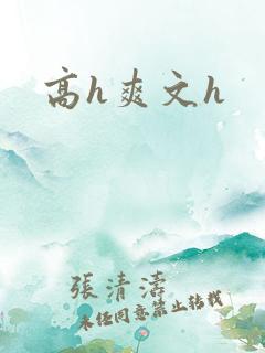 高h爽文h
