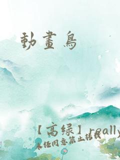动画鸟