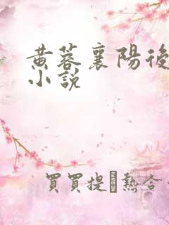黄蓉襄阳后记续小说