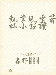 执掌风云萧峥陈虹小说读