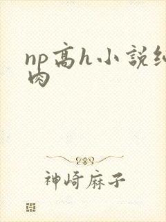 np高h小说纯肉