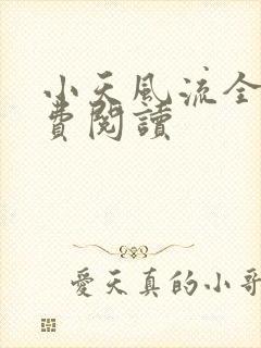 小天风流全集免费阅读