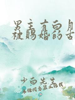 男主有白月光但被赐婚的古言