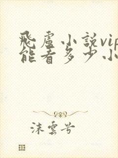 飞卢小说vip能看多少小说