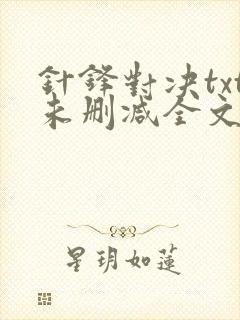 针锋对决txt未删减全文