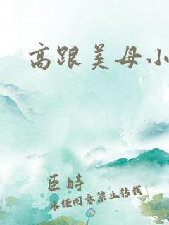 高跟美母小说
