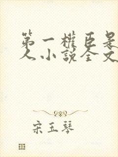 第一权臣是病美人小说全文免费阅读