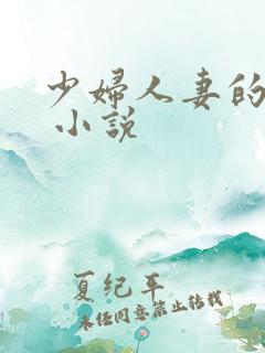 少妇人妻的欲望 小说