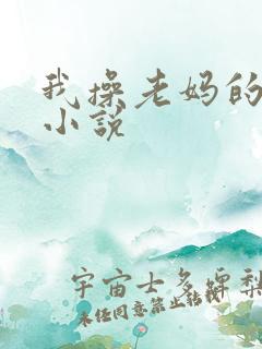 我操老妈的屁眼小说