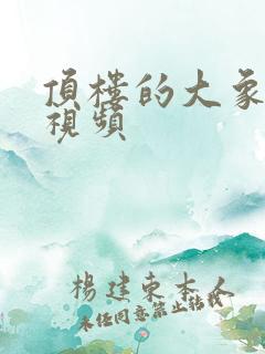 顶楼的大象激情视频