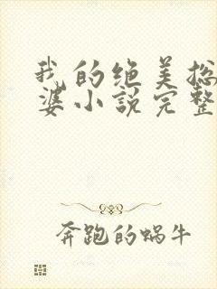 我的绝美总裁老婆小说完整版
