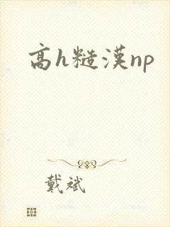 高h糙汉np