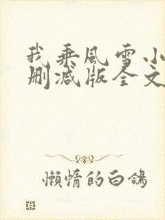 我乘风雪小说未删减版全文阅读